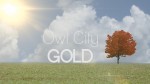 Owl City Music Video